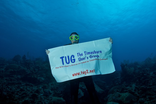 TUG Banner underwater in grand cayman islands